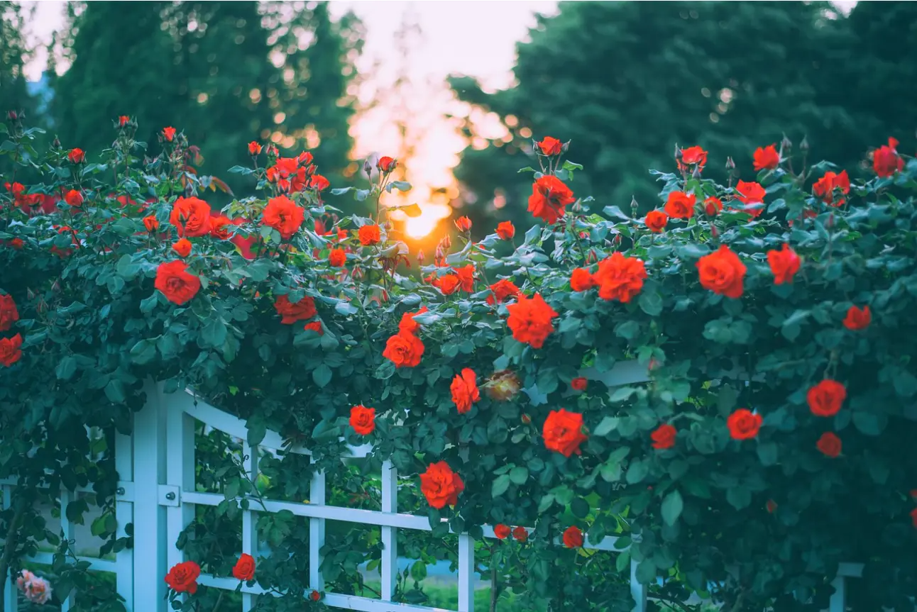 014 Linux 2.6内核进程调度队列(了解)